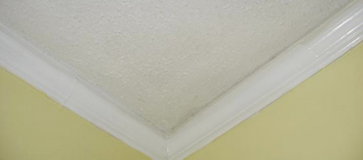 How To Remove Popcorn Ceilings Dunes Painting